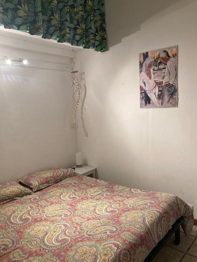 La Coccinelle Bed and Breakfast Nîmes Buitenkant foto